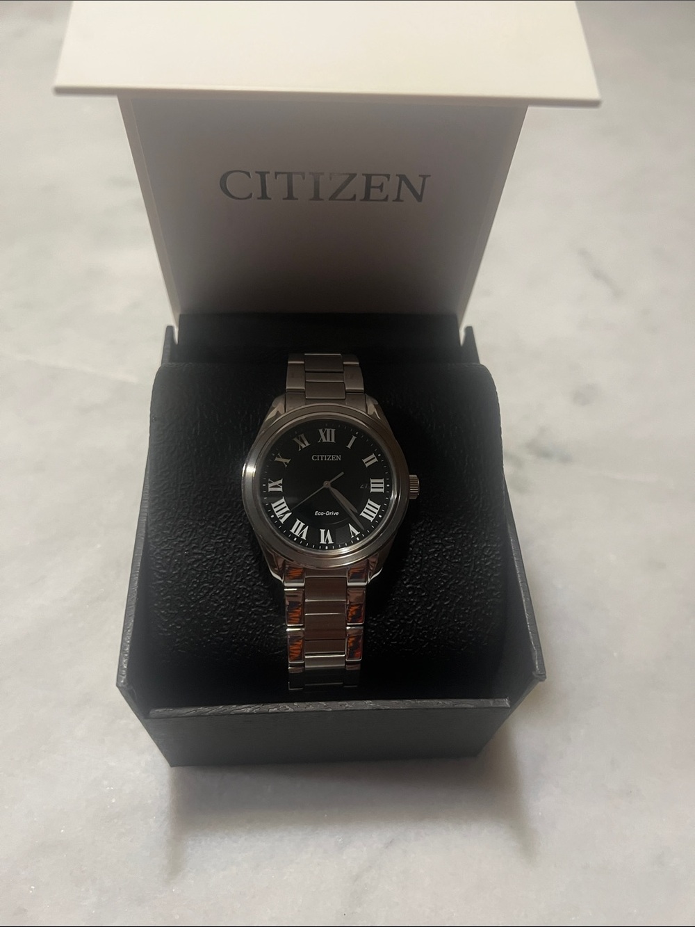 Citizen eco drive Stainless Steel Watch with Black Dial and Roman Numerals